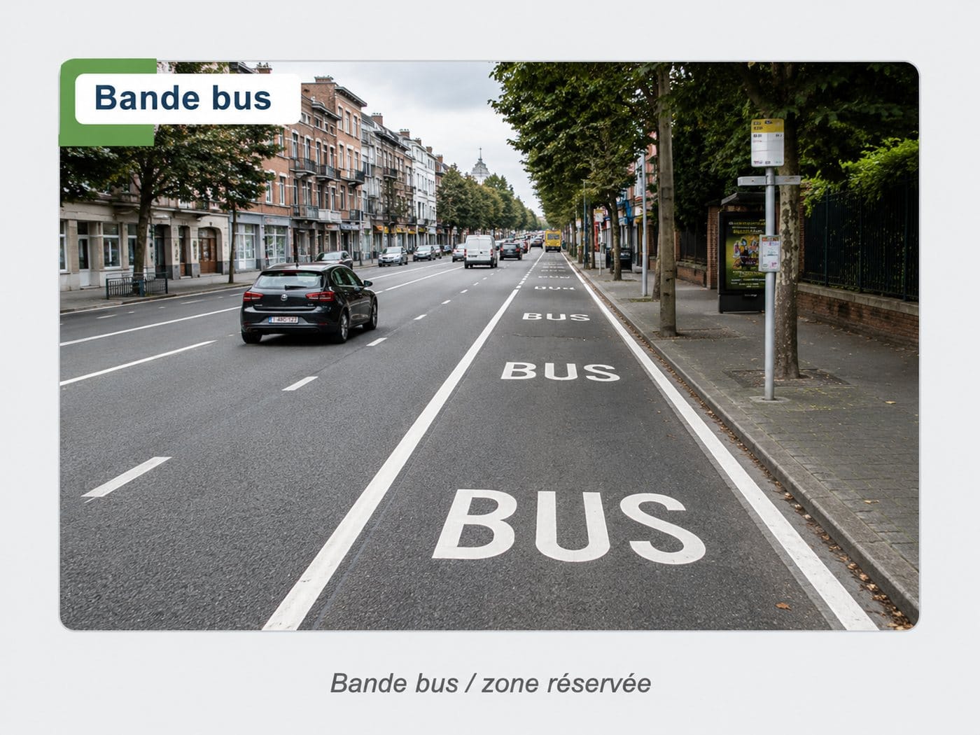 Bande bus / zone réservée — Marques en damier